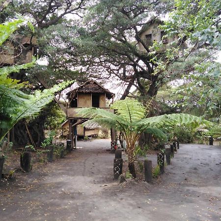 Island Vision Tree Lodge Insel Tanna Exterior foto