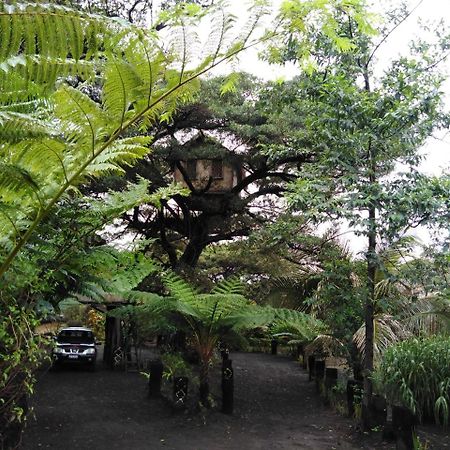 Island Vision Tree Lodge Insel Tanna Exterior foto