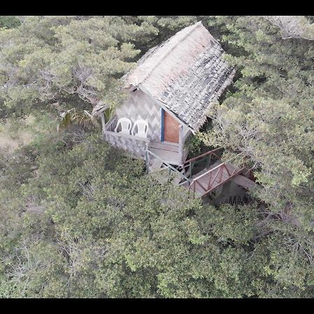 Island Vision Tree Lodge Insel Tanna Exterior foto