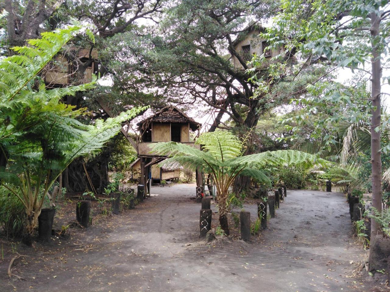 Island Vision Tree Lodge Insel Tanna Exterior foto