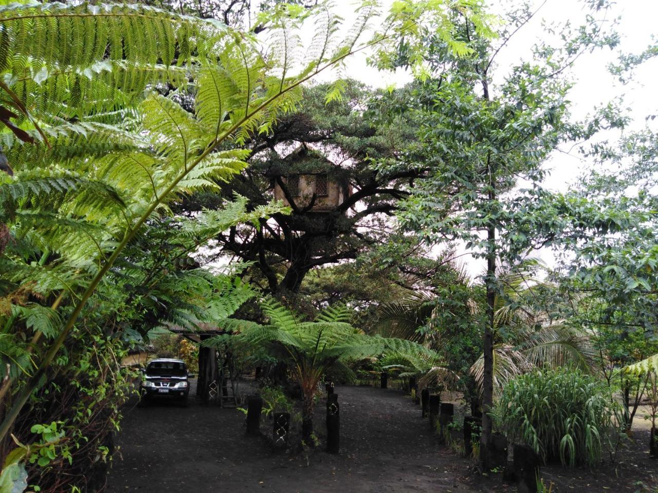 Island Vision Tree Lodge Insel Tanna Exterior foto