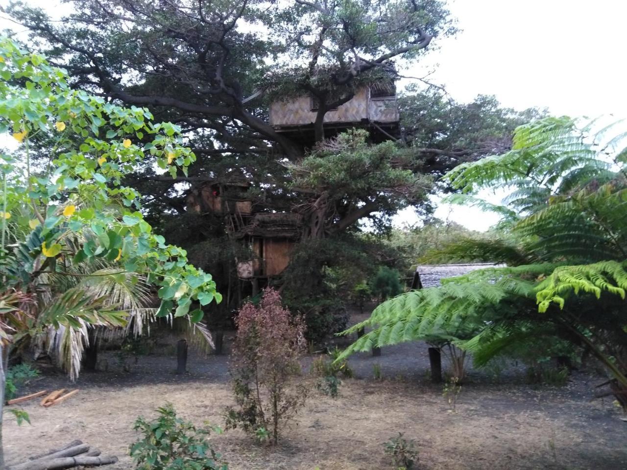 Island Vision Tree Lodge Insel Tanna Exterior foto