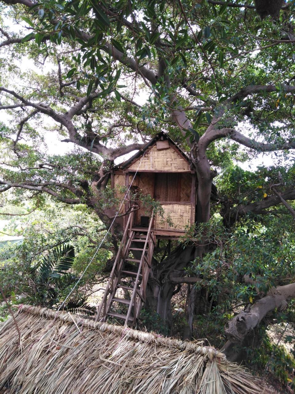 Island Vision Tree Lodge Insel Tanna Exterior foto