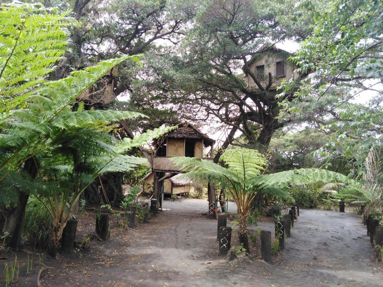 Island Vision Tree Lodge Insel Tanna Exterior foto