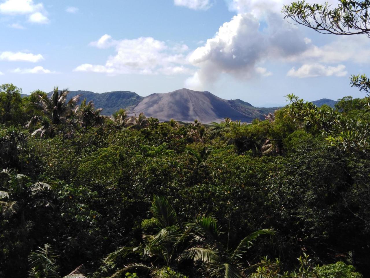 Island Vision Tree Lodge Insel Tanna Exterior foto