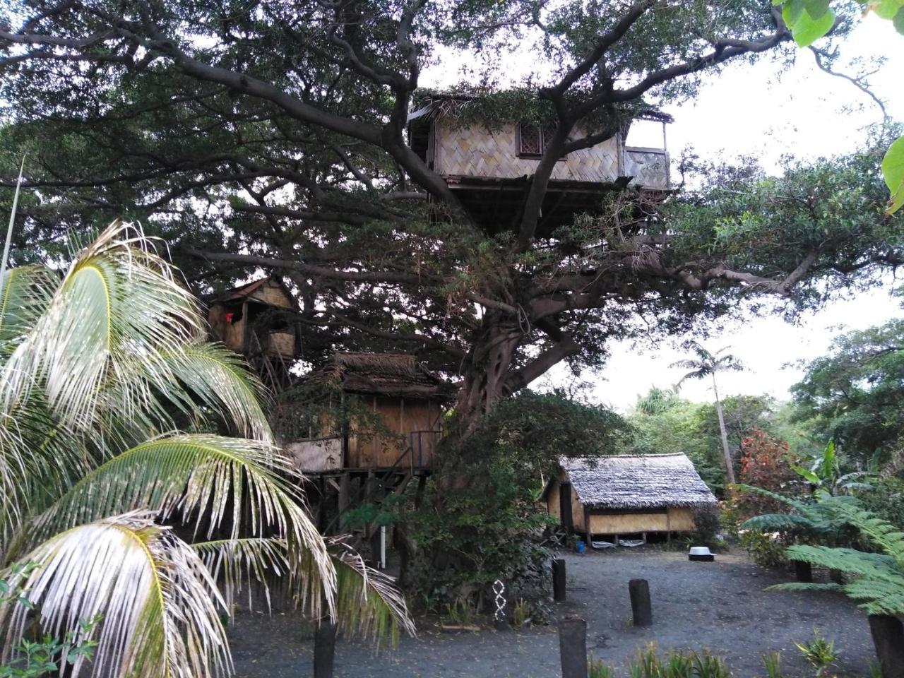 Island Vision Tree Lodge Insel Tanna Exterior foto