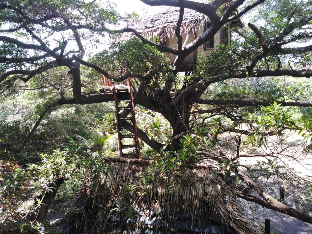 Island Vision Tree Lodge Insel Tanna Exterior foto