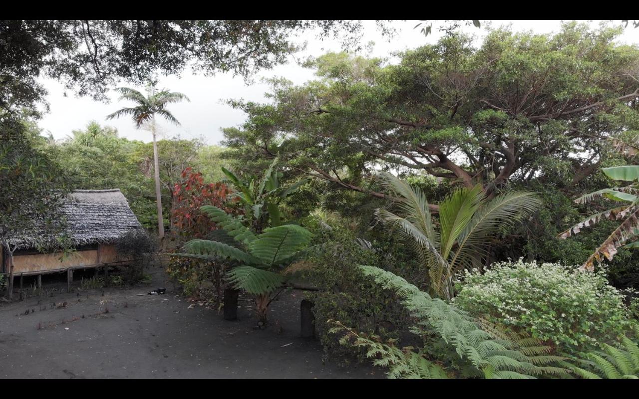 Island Vision Tree Lodge Insel Tanna Exterior foto