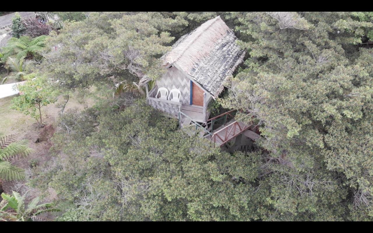 Island Vision Tree Lodge Insel Tanna Exterior foto